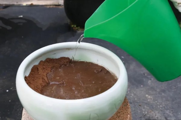 如何配制营养土，常用以下3种方式