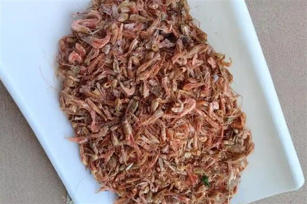 甲鱼喜欢深水吗，浅水适合它生长