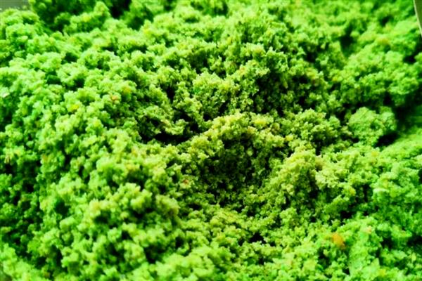 甲鱼喜欢深水吗，浅水适合它生长