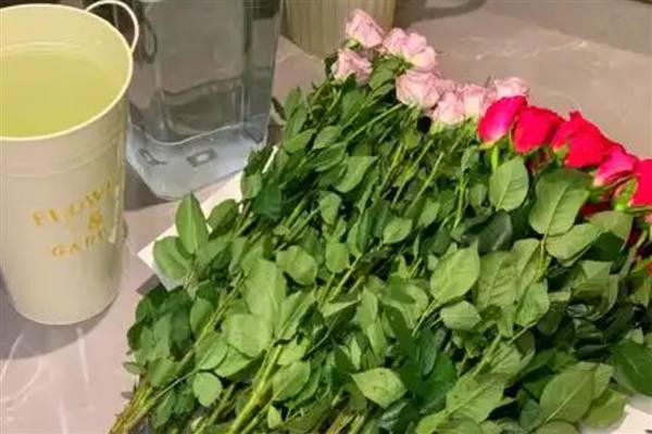 玫瑰花的醒花步骤，需要先对花枝进行修剪
