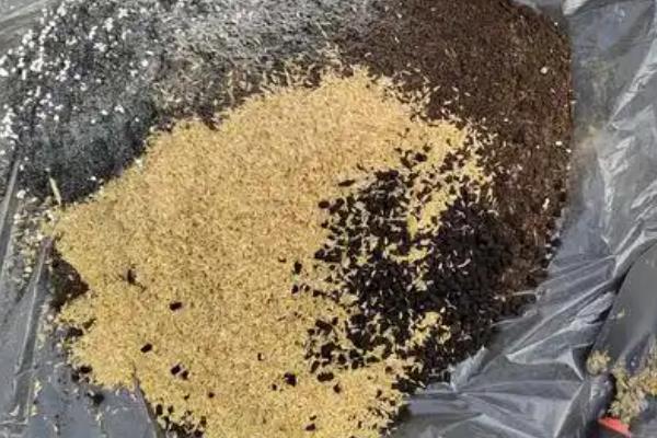 丁香不开花的原因是什么，可能是缺乏光照所致