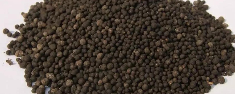 施用生物肥要注意什么，施用时间要赶早