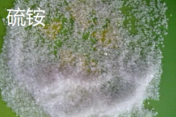硫铵化肥的作用是什么，可以使作物的枝叶生长旺盛
