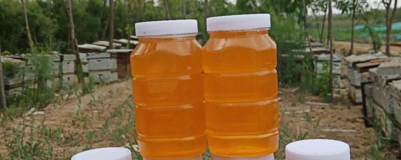 薰衣草蜜简介，是产于伊犁地区的特色蜂蜜