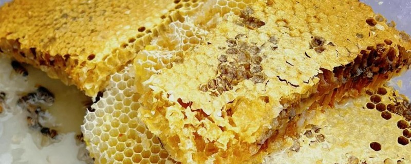 为什么蜂巢蜜嚼不烂，嚼不烂的实际上是蜂蜡
