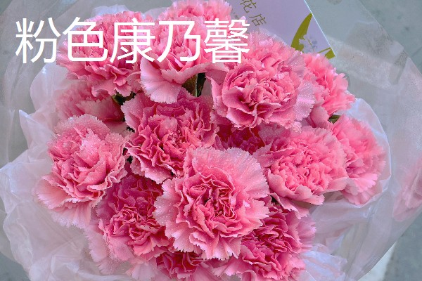 高考结束送什么花，推荐向日葵、百合花等