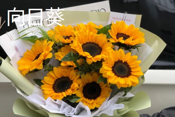 高考结束送什么花，推荐向日葵、百合花等