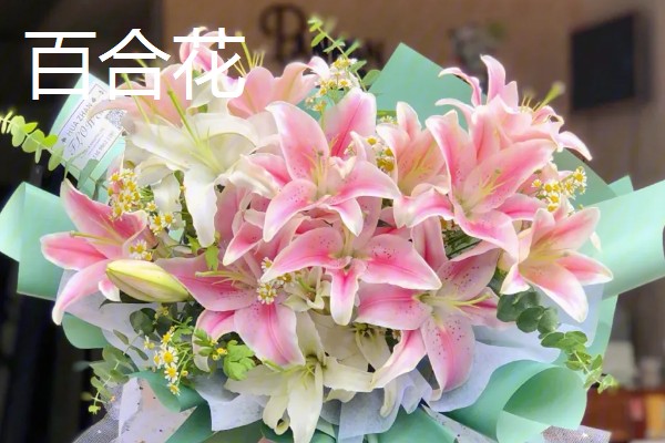 高考结束送什么花，推荐向日葵、百合花等