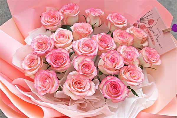 21朵粉玫瑰有什么花语,代表爱的宣言、甜蜜初恋等含义