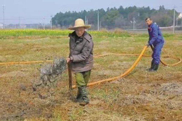 施用沼肥有哪些注意事项，不要出池后立刻施用