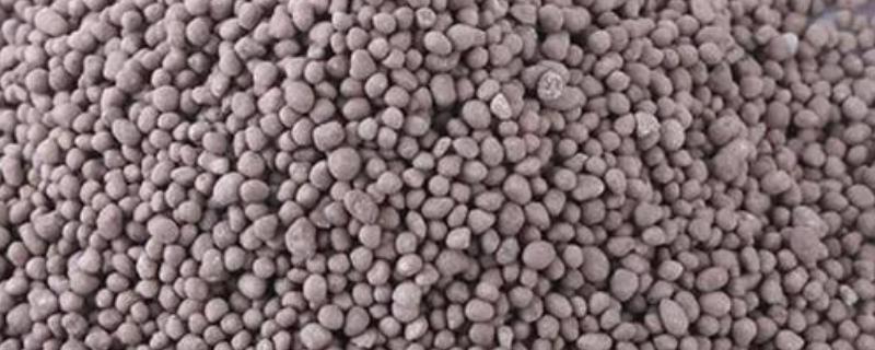 铵态氮肥有什么特点，其易溶于水且易分解