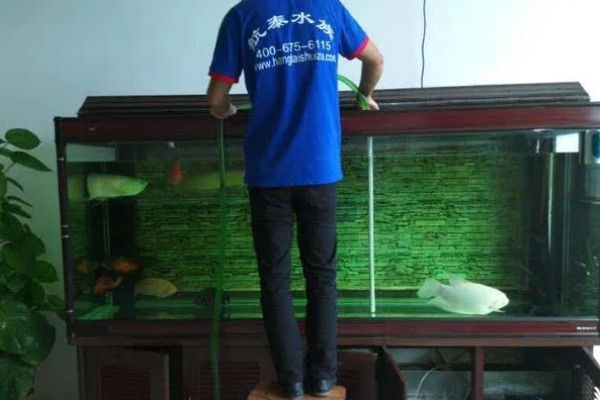 二氧化氯给鱼缸消毒一次放多少,一般都是一吨水放1片