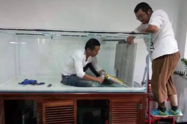 二氧化氯给鱼缸消毒一次放多少,一般都是一吨水放1片