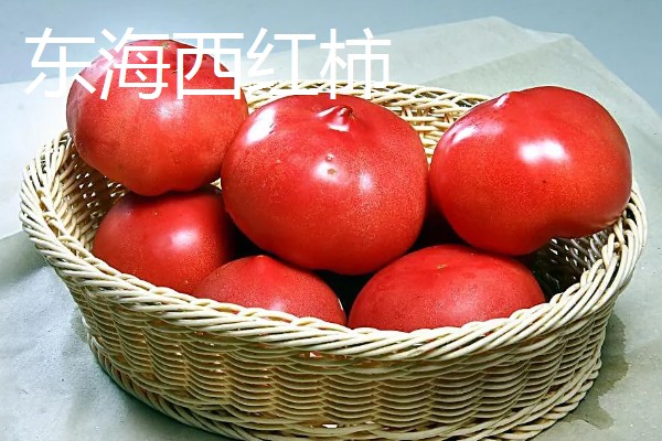 江苏省东海县的特产，有老淮猪肉、西红柿等