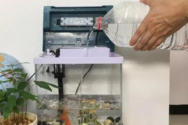 鱼缸什么时候加盐，最好还是不要经常加入盐