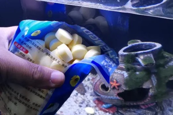 鱼缸什么时候加盐，最好还是不要经常加入盐
