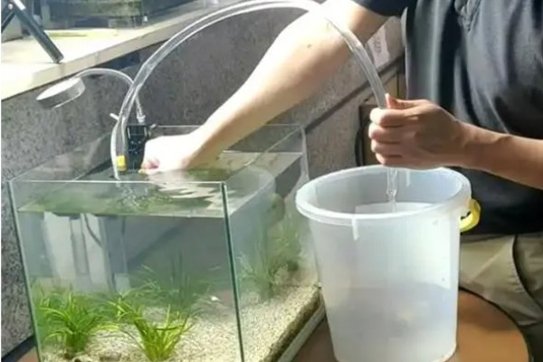 鱼缸什么时候加盐，最好还是不要经常加入盐