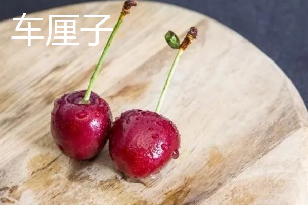 车厘子与樱桃有什么区别,外观、口感、成熟时间均不同
