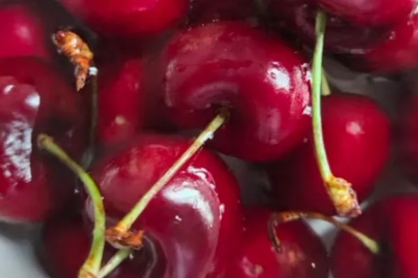 车厘子与樱桃有什么区别,外观、口感、成熟时间均不同