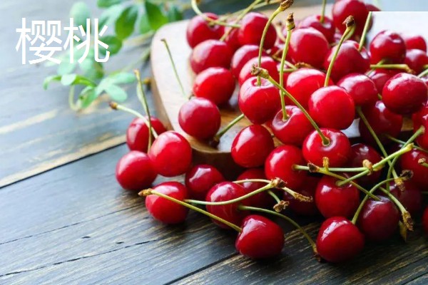 车厘子与樱桃有什么区别,外观、口感、成熟时间均不同