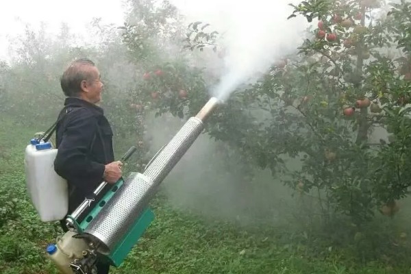 尿素对农作物的作用，可以提高作物的产量
