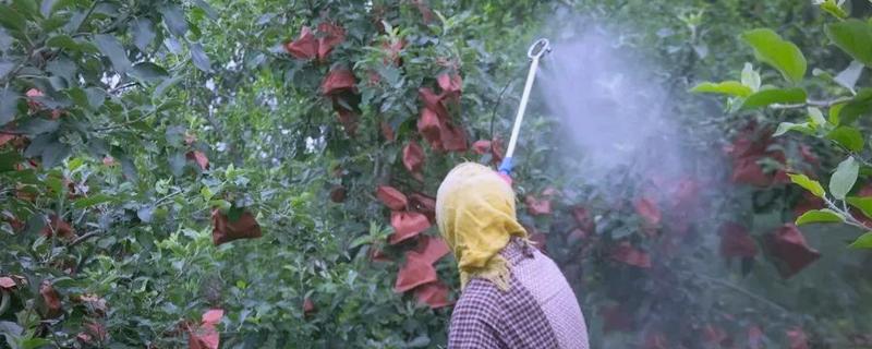 氯氰菊酯的药效期，在春夏季一般为5天左右