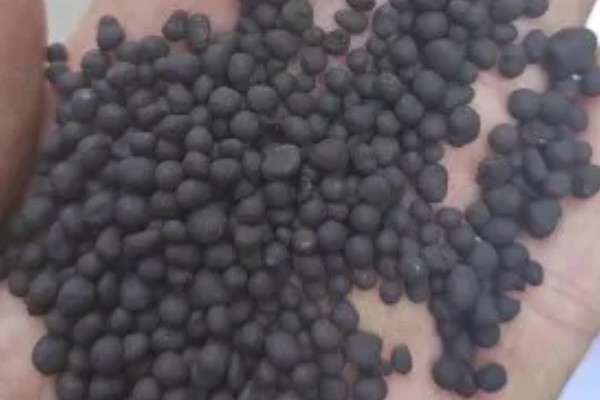 施用生物肥要注意什么，施用时间要赶早