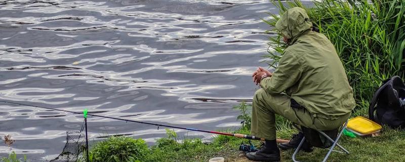 性价比高的战斗竿推荐，推荐无法一本、黑坑魂等