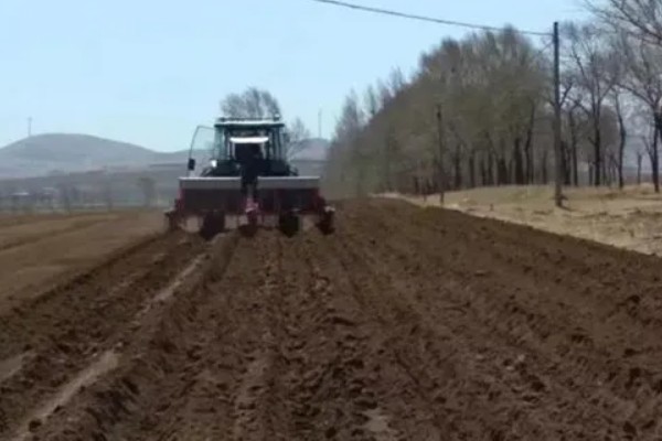 生菜的种植时间，通常是在春秋两季进行