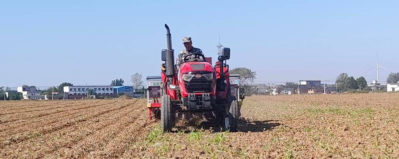 小麦每亩地的播种量，土壤肥沃时亩播15-18斤