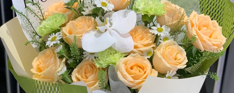 香槟玫瑰有什么花语，代表我只钟情于你等含义