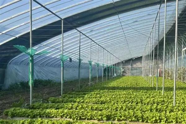 温室效应是由什么气体引起的，有水汽、氟利昂、二氧化碳等