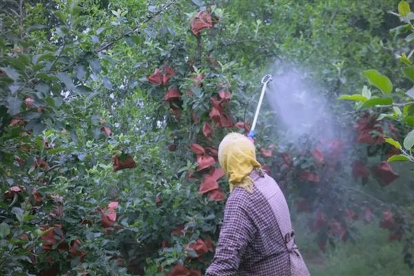 红火蚁的防治方法，需严格检疫、定期清理等