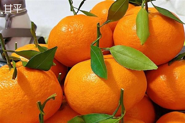 柑橘有什么种类，明日见、清见、大雅柑等品种很常见