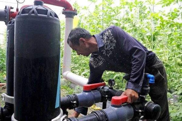 沼液、沼渣在蔬菜上的正确施肥方法,通常采用根部淋浇的方法