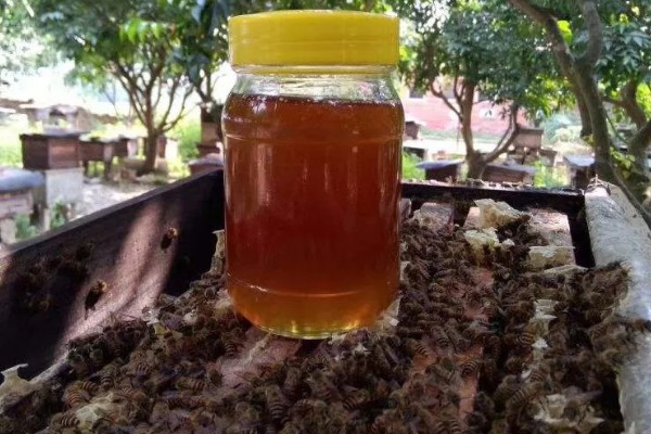 蜂蜜怎么保存,选择用陶瓷片或玻璃瓶来保存