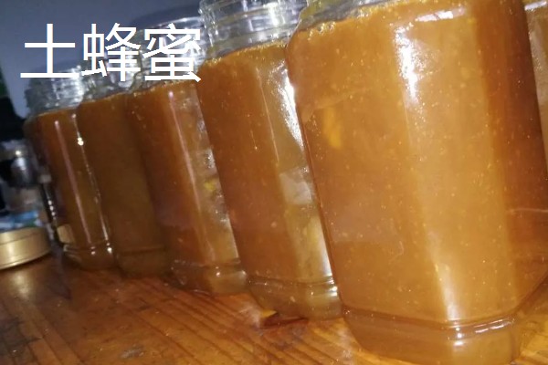 蜂蜜怎么保存,选择用陶瓷片或玻璃瓶来保存