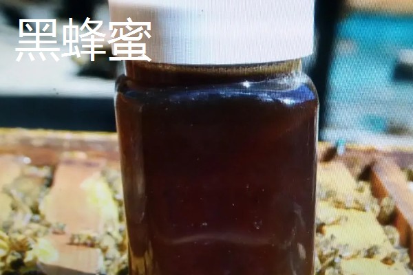 蜂蜜怎么保存,选择用陶瓷片或玻璃瓶来保存