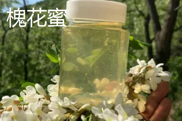蜂蜜怎么保存,选择用陶瓷片或玻璃瓶来保存