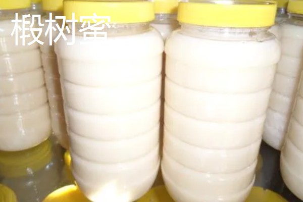 蜂蜜怎么保存,选择用陶瓷片或玻璃瓶来保存