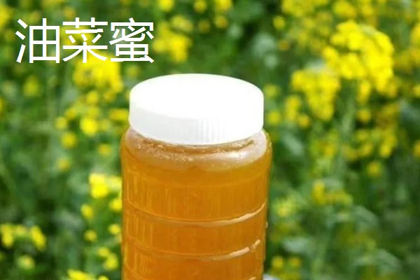 蜂蜜怎么保存,选择用陶瓷片或玻璃瓶来保存
