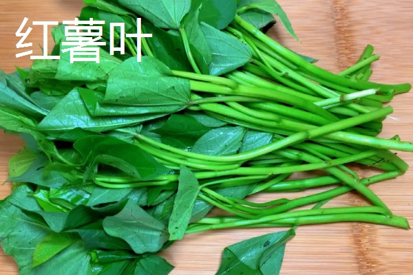 空心菜类似的菜有哪些,有红薯叶、菜心等