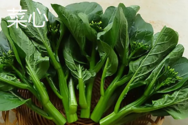 空心菜类似的菜有哪些,有红薯叶、菜心等