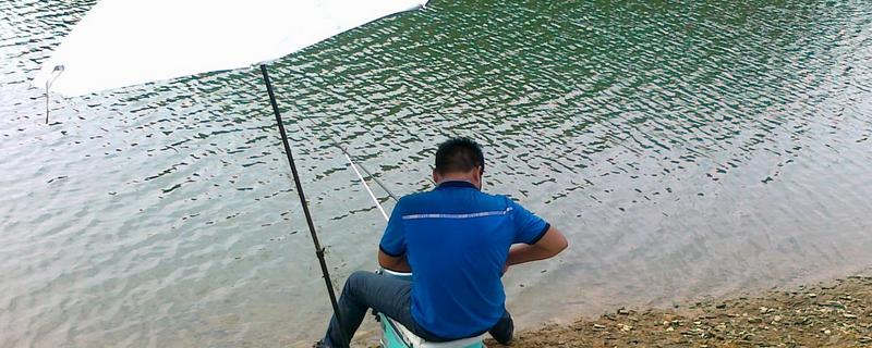 鱼竿的调性划分，分为极硬调、超硬调、中硬调等类型