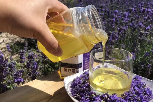 薰衣草蜜简介,是产于伊犁地区的特色蜂蜜