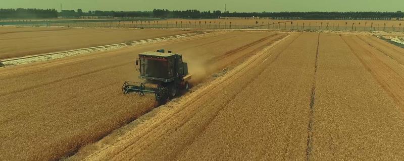 传统农业与现代农业有什么区别，前者主要依靠人力、后者依靠现代科技