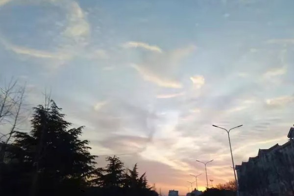 龙抬头吃什么食物，可以吃水饺、猪头肉等