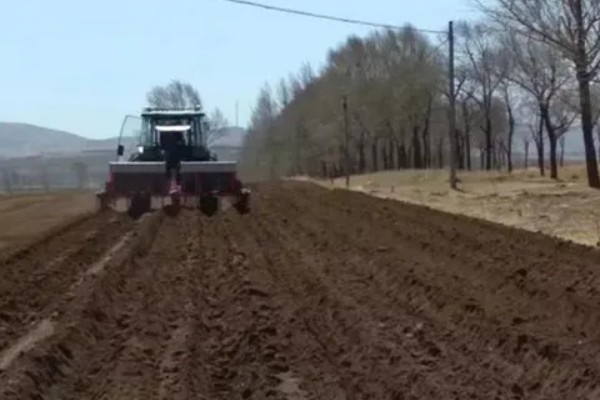 一斤草籽可以种多少面积，可以播种30-40平方米