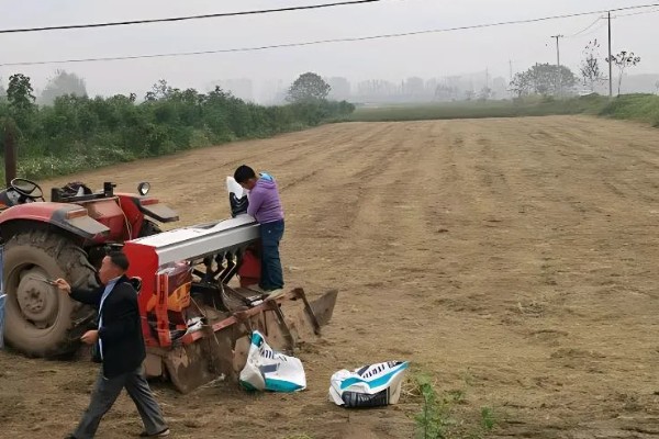 一斤草籽可以种多少面积，可以播种30-40平方米