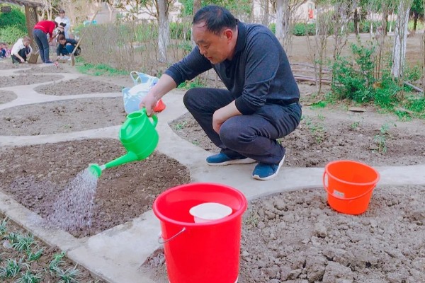 一斤草籽可以种多少面积，可以播种30-40平方米